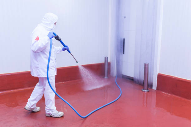 Best Playground Equipment Cleaning  in Jacksonville, FL